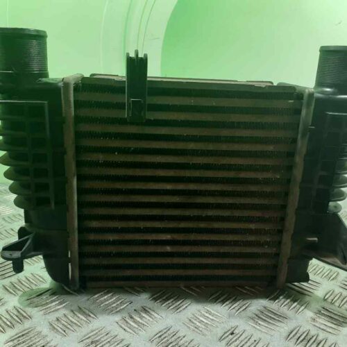 INTERCOOLER RENAULT CLIO III 20 Aniversario   |   03.10 – 12.10