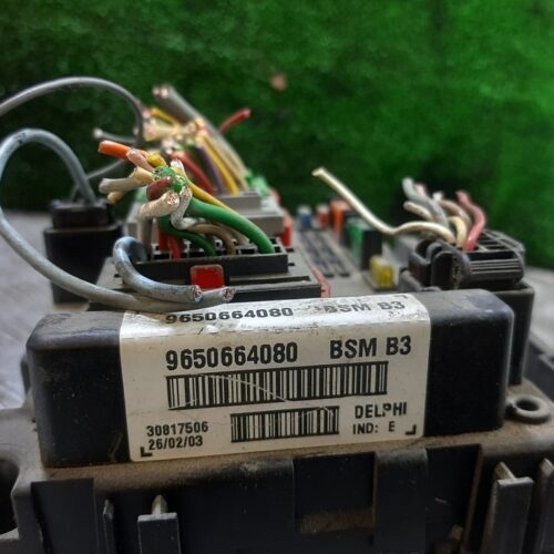 CAJA RELES / FUSIBLES PEUGEOT PARTNER KASTEN Confort L1   |   0.08 – …