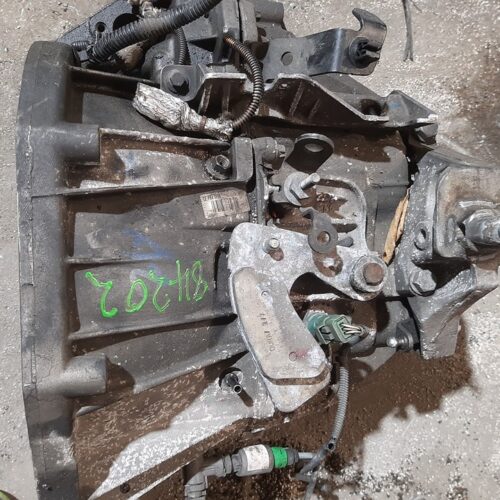 CAJA CAMBIOS RENAULT MEGANE II BERLINA 5P Confort Dynamique | 02.06 – 12.06