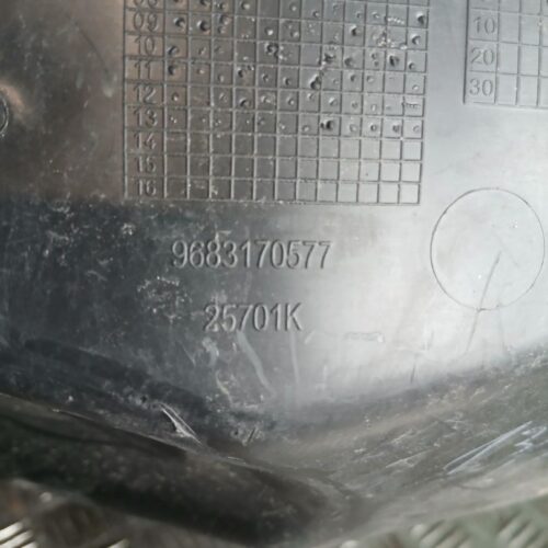 GUANTERA CITROEN C3 PICASSO Exclusive   |   01.09 – 12.10